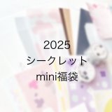 【ご予約販売〜12/28まで】＊2025福袋  「12周年記念 シークレットmini福袋」 