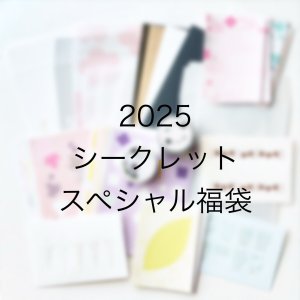 画像1: 【ご予約販売〜12/28まで】＊2025福袋  「12周年記念 シークレットスペシャル福袋」 