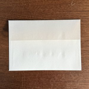 画像2:  箔押し封筒:ホワイトブラウン:ピンクゴールド箔xメープルリーフ&実柄　1枚