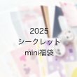 画像1: 【ご予約販売〜12/28まで】＊2025福袋  「12周年記念 シークレットmini福袋」  (1)